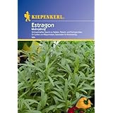Estragon Samira mehrjährig