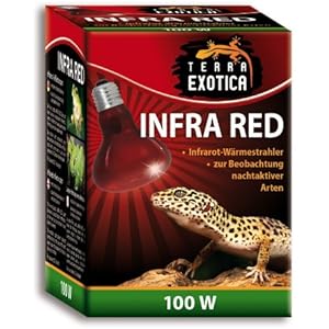 Infra Red 100 Watt - Infrarot Reflektorstrahler für nachtaktive Tiere