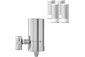 Waterdrop WD-FC-06 Filtro de Agua Para Grifo de Acero Inoxidable,Sistema de Filtración de Agua con Bloque de Carbón,Reduce el Cloro,el olor y el Mal Sabor(4 Filtros Incluidos)