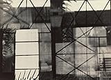 Image de Photography at MoMA 1920-1960