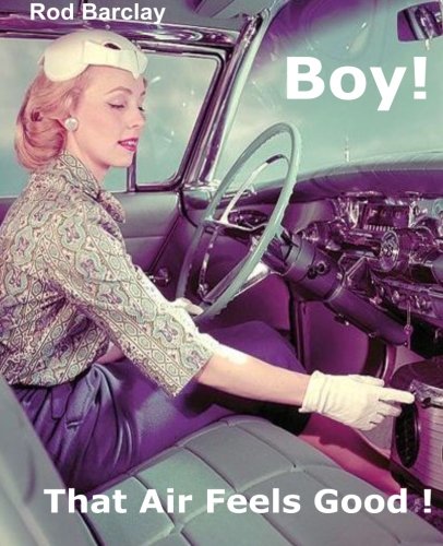 Boy! That Air Feels Good!: The untold history of Car Air; how Texas entrepreneurs such as A.R.A., Clardy, Frigette and Mark IV gave drivers what they ... not get from Detroit - Customer Satisfaction. livre