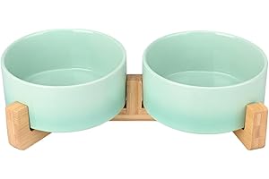 SPUNKYJUNKY Gamelle Double en céramique avec Support en Bambou pour Chat et Chien (400ml, Vert dégradé)