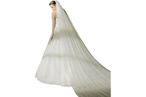 ISPCHEN Butterme 2 Niveaux de Voile de Mariage Nuptiale Longue Coupe avec Peigne
