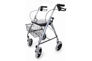 Drive Medical wa006sil-1 Déambulateur en acier argenté