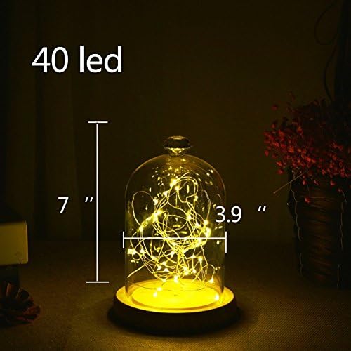 Agywell Glass Dome Lamp Bell Jar Display Dome wooden Base Battery Operated LED Fairy Light ideal for Decoration Anywhere. (40LED)