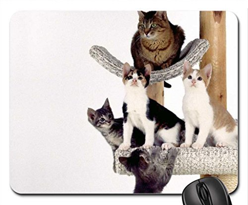 Preisvergleich Produktbild Kratzbaum Mauspad, Mousepad (Katzen Mauspad)