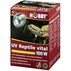 UV-Reptile vital Desert, 100 W