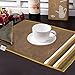 Avioni Premium Faux Silk Table mats With Matching Napkins Export Quality ( Set of 12) RS.649.00