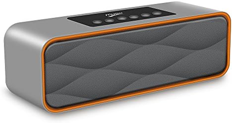 Wireless Bluetooth Speaker 4.0 Speaker Portable Stereo Strong Enhanced Bass FM Radio MP3 Player,10 Play Hour 2200mAh Battery Hands-Free Calling Built-In Microphone, Micro TF SD Card, USB Input, AUX Line-In (Grey)