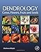 Produktbild Dendrology: Cones, Flowers, Fruits and Seeds