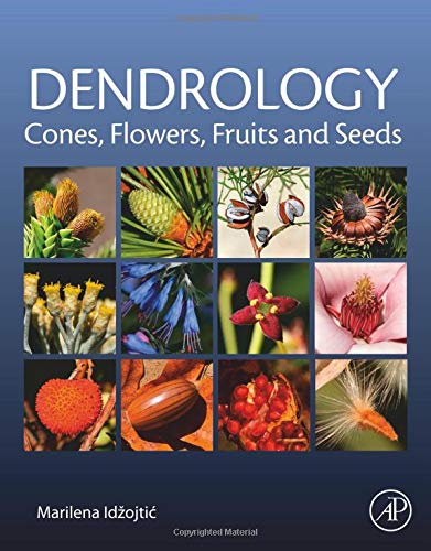 Preisvergleich Produktbild Dendrology: Cones, Flowers, Fruits and Seeds