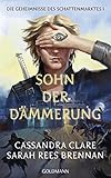 Image de Sohn der Dämmerung: Die Geheimnisse des Schattenmarktes 1