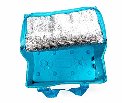 Preisvergleich Produktbild Kühltasche mit Kühlakku, Griffbänder, Volumen 7 Liter, faltbar, handlich, lieferbar in den Farben Pink, Blau oder Grün (Blau)
