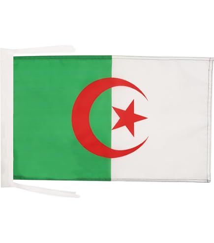 Drapeau Tunisie Pour Voiture AZ FLAG - 45x30cm, Polyester, Attaches PVC, Décoration Patriotique