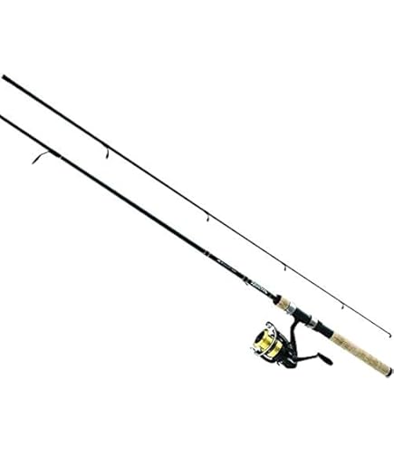 ABU GARCIA Cardinal Bruiser 8'0" MH Spinning Combo, 4.2:1 Gear Ratio, 4  Bearings, Saltwater Size Reel, Pre-spooled with Berkley Trilene :  Amazon.in: Sports, Fitness & Outdoors