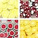 NAILFUN 240 Fruity Fimo Slices in a Storage Box