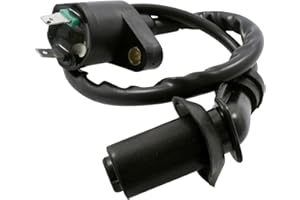 2EXTREME Zündspule 12V kompatibel mit EXPLORER (ATU) Race GT 50cc, Retro Star, Wild Eagle, Level 100, Dio SP, SR