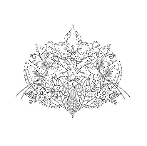 Magical Jungle: An Inky Expedition & Colouring Book (Colouring Books)