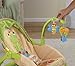 Fisher-Price Newborn-To-Toddler Portable Rocker, Lizards