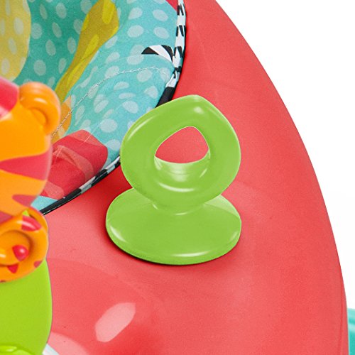 Bright Starts 60316 Lernlaufhilfe Roaming Safari Walk-A-Bout - 9