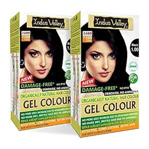 INDUS VALLEY Herbal, Natural Damage Free Gel Colour For Hair Black- 1.0-20g*2=40g, 200ml*2=400ml