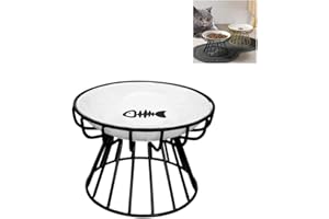 EHOTER Plato elevado para gatos, antivómitos, apto para bigotes, cuenco elevado de cerámica para gatos con soporte de metal, plato de cerámica poco profundo antivómitos para gatos y perros pequeños (estante