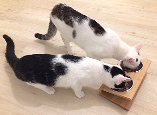 Cleo-Gamelle-en-bambou-pour-chat