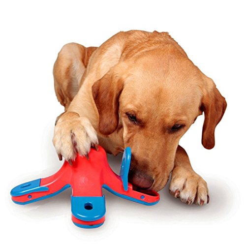 juguetes educativos para perros