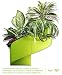 Produktbild Modul'Green – Designer blumentopf für Wände – drinnen & draußen - Grün