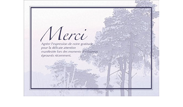 Merci Agreer L Expression De Notre Gratitude Pour La Delicate Attention Manifestee Lors Des Moments Douloureux Eprouves Recemment Carte De Remerciement Deuil Deces Condoleances Carte De Voeux Reconfortante Le Chagrin Avec Paysage