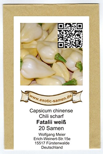 Fatalii weiß – sehr selten – scharfes Chili – Peperoni – bis 325.000 SHU – 20 Samen - 2