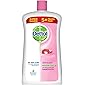 Dettol Skincare Germ Protection Handwash Liquid Soap Refill Jar, 900ml