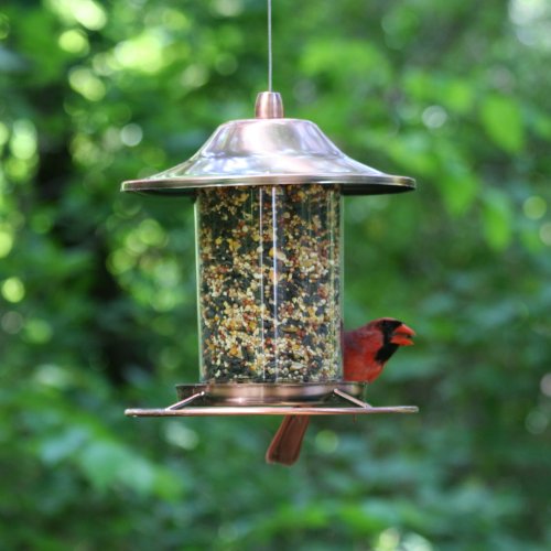 Woodstream 312C Perky-Pet Panorama-Vogelfutterspender, Kupfer - 4