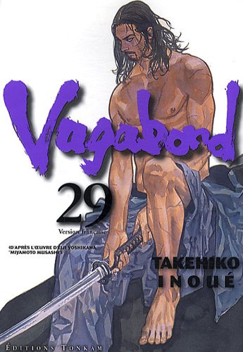 Download Vagabond Vol.29