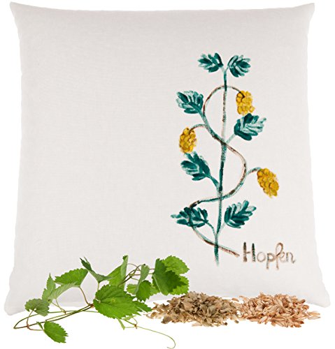 Preisvergleich Produktbild Bio Dinkel-Hopfenkissen handbemalt