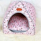 Waschbar um bakterielles Wachstum zu verhindern