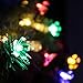 AICEDA Solar String Lights Outdoor Flower Blossom Shaped 50 LED Waterproof Lighting For Home Yard Garden Patio Lawn Party Wedding Xmas Tree Decor Gift Indoor and Outdoor Events (Multi-color) RS.3060.00