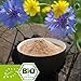 Produktbild Bio Propolis Pulver 250g
