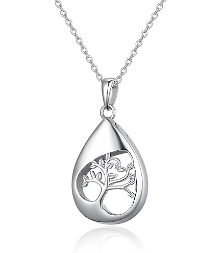BIAIHQIE Crematie Sieraden Urn Sleutelhanger voor As voor BIAIHQIE Crematie Sieraden Urn Sleutelhanger voor As voor