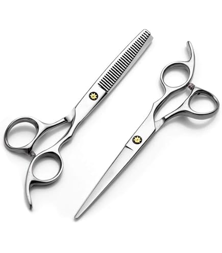 Bprtcra Friseur-Scherenset Edelstahl 10-teilig – 6 Zoll, Mit Ausdünnungsschere, Tasche & Zubehör
