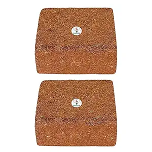 GATE GARDEN Cocopeat Block, Agropeat Block - Expands Up to 40-50 litres of Coco Peat Powder for All Seeds and Plants (1kg, Set of 2 Brick for Multi time use)