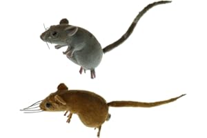 Fonowx Realistische Maus Figur, Deko für Garten und Küche, 2er Set