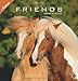Friends - Pferde 2014. Broschurkalender by 
