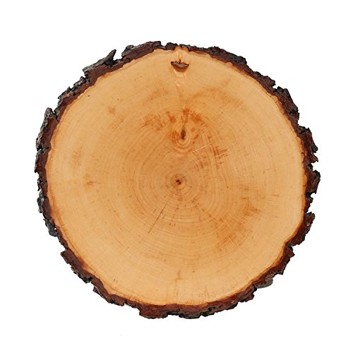 Rundes Rindenbrett lackiert, Holzbrett, Baumscheibe, Servierbrett, Wurstbrett, Käsebrett, verschiedene Größen, Brettgröße:ca. 18 - 20 cm Durchmesser