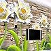 Produktbild Rureng Große Benutzerdefinierte Tapeten Fresken Retro Backsteinmauern Wasser Blumen Geprägte Blumen Hintergrund Wände Tapete-450X300Cm