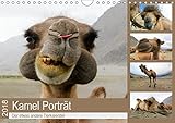 Kamel Porträt (Wandkalender 2018 DIN A4 quer): Der etwas andere Tierkalender (Monatskalender, 14 Seiten ) (CALVENDO Tiere) [Kalender] [Feb 20, 2017] Gruse, Sven by 