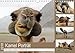 Kamel Porträt (Wandkalender 2018 DIN A4 quer): Der etwas andere Tierkalender (Monatskalender, 14 Seiten ) (CALVENDO Tiere) [Kalender] [Feb 20, 2017] Gruse, Sven by 