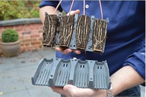 Garden Haven ® 28 Cell Deep Root Plant Cells 12cm Deep, Reusable, Root trainer Propagation Plant Germination Made in UK Ideal for all plants with deep root systems such as beans and sweet peas