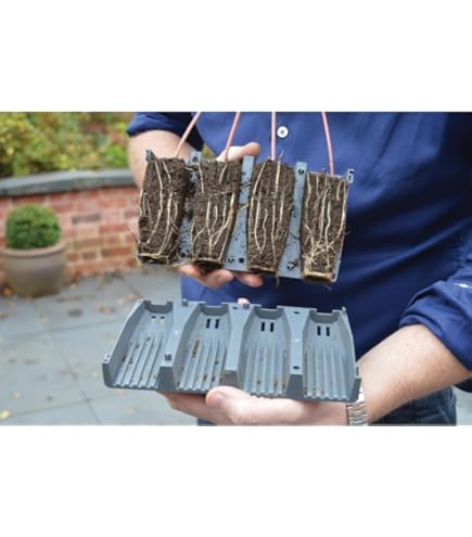 Root It 24 Propagation Insert & Trays Starter Plugs Seeds Cuttings Base Root T