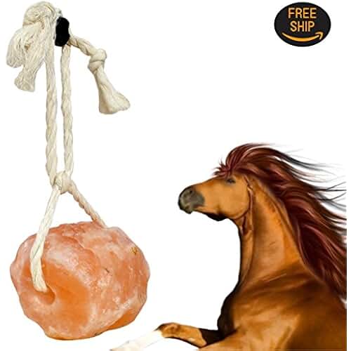 Amazon.co.uk mineral licks for horses